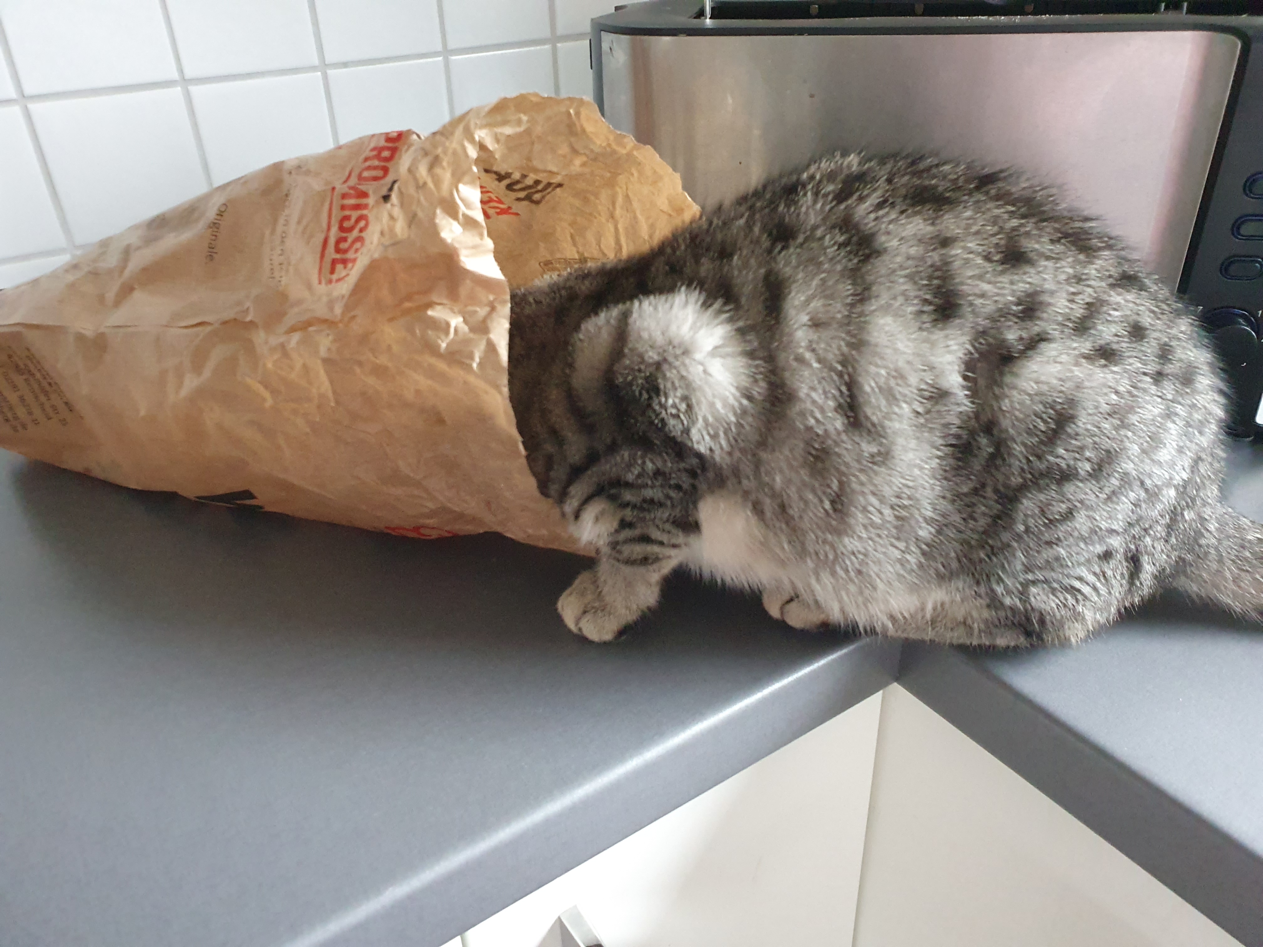 Gitti_20250225_155247.jpg Gitti_20250225_155247.jpg